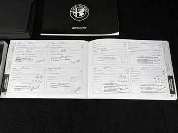 Alfa Romeo Stelvio SUV 2.0 Turbo 200KM 2018 Alfa Romeo Stelvio 2.0 200 KM Automat 4x4 Europa, zdjęcie 37