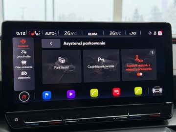 Cupra Formentor Crossover 2.0 TSI 190KM 2024 Cupra Formentor 4Drive DSG / 1 właściciel / Salon, zdjęcie 28