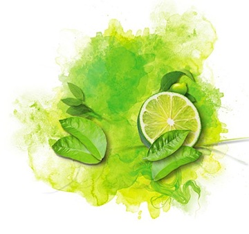 4711 ACQUA COLONIA ЛАЙМ И МУСКУТ EDC 170 МЛ