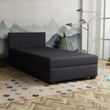 Адель молодежный диван-кровать 100х200 + контейнер