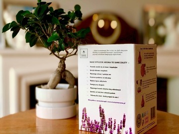Аромадиффузор TULIPAN белое дерево Aroma Institute