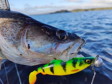 Savage Gear Herring Shad 11см набор из 8 штук для щуки и судака