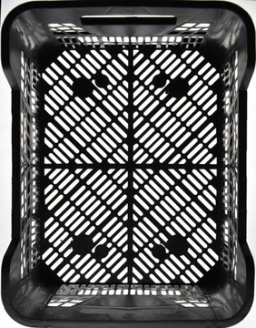 Коробка CASI 6кг (грибы)