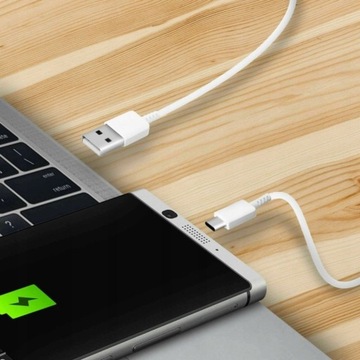 Универсальный кабель USB-C — USB 2.0 Type C, 1 м