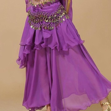 Belly Dance Skirt Dress Costumes with