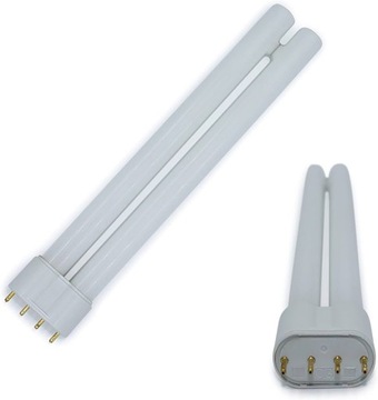 PHILIPS Master PL-L 4P 55W 865 2G11 świetlówka