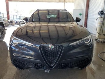 Alfa Romeo Stelvio SUV Facelifting 2.0 Turbo 280KM 2023 Alfa Romeo Stelvio 2023r., 4x4, 2.0L, zdjęcie 4