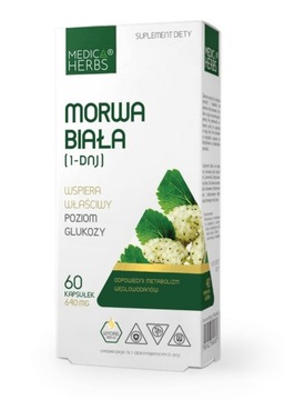 MEDICA MORWA BIAŁA CUKRZYCA kwercetyna prawidłowy cholesterol ANTYOKSYDANTY