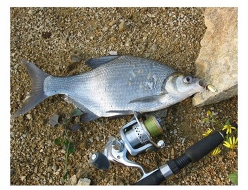 СПИННЕР Лист ЩУКА САНДЕР 15г 5,1см 2 якоря