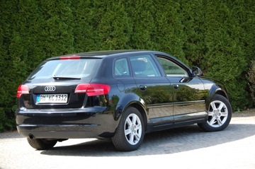 Audi A3 8P Hatchback 3d 1.6 102KM 2010 Audi A3 Lift Automat 5drzwi1.6MPI Klimatronic Alu Lato+Zima, zdjęcie 3