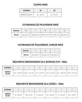 Мужские шорты Nike Dri-Fit Academy XXL