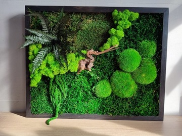 Изображение мха и стабилизированных растений мох 42х52.