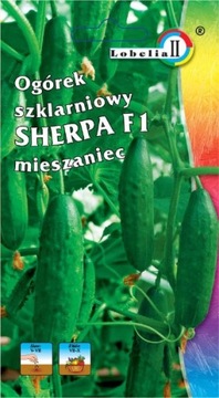 OGÓREK SZKLARNIOWY WCZESNY SHERPA F1 NASIONA