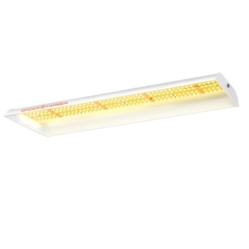 LED Spider farmer SF300 60cm podłużna na rozsady