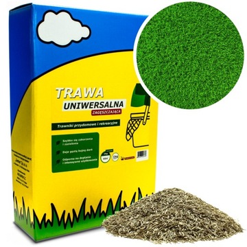 TRAWA ZAGĘSZCZAJĄCA ODPORNA NA DEPTANIE 1KG 40M2