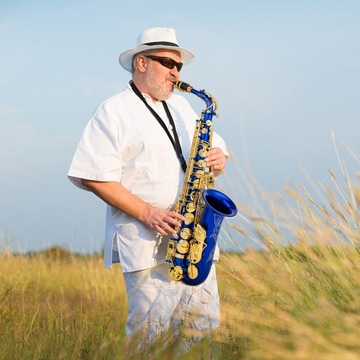 Eb-альт-саксофон Brass E Flat Sax 802, тип тональности