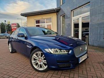Jaguar XE Sedan 2.0 i4 180KM 2015 Jaguar XE Prestige Automat Xenon Ledy Navi, zdjęcie 8