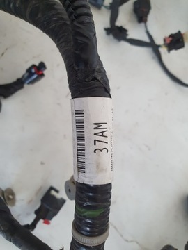 DODGE CHALLENGER 15- 3.6 V6 SVAZEK INSTALACE MOTORU