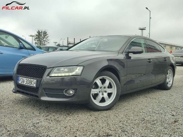 Audi A5 8T Coupe 2.0 TDI 170KM 2010 Audi A5 Sportback Zarejestrowany, LED, Xenon, Aktualne OC i BT, Mozliwa za, zdjęcie 1