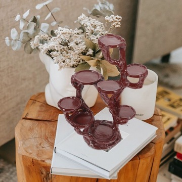 Małe rośliny domowe Doniczki domowe