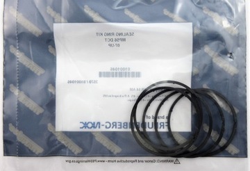 КОМПЛЕКТ УПЛОТНЕНИЙ С ПОРШНЯМИ ВИЛКИ 6DCT450 MPS6