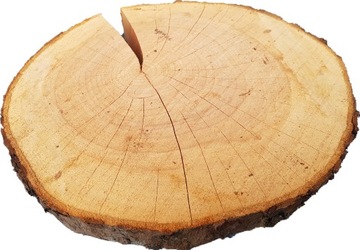 ломтики древесины яблони, диски яблони