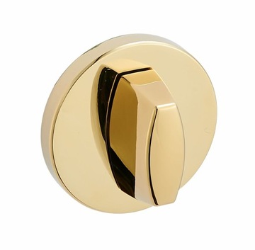szyld wc ZŁOTY RFO G03 Infinity Line