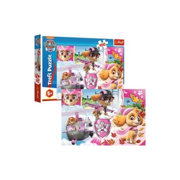 Пазл 100 деталей. Скай в действии