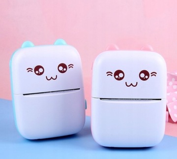 МИНИ-ТЕРМОПРИНТЕР DRUKUŚ CAT + 11 РОЛИКОВ