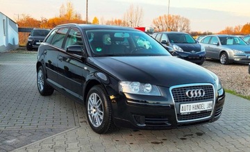 Audi A3 8P Hatchback 3d 1.6 102KM 2008 Audi a3 1,6 MPI 102 km 1.6 Benzyna 102KM, zdjęcie 1