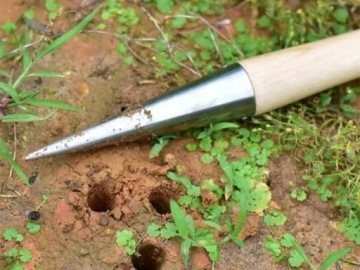 ПОДБОРНИК ДЛЯ ПОСАДКИ ЛУКОВИЧНЫХ РАСТЕНИЙ ДЕРЕВЯННАЯ САДОВАЯ ШПАЖКА