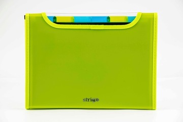 Дизайнерская папка Vfile Strigo А4 с 6 разделителями, зеленая