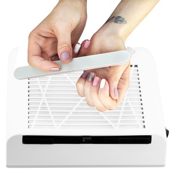 Безмешковый пылесборник PROFICO DC-900 80Вт + 1