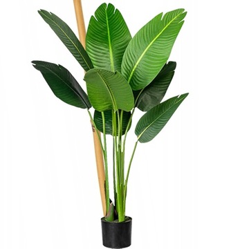 БАМБУКОВЫЙ ШТОК 100X - ПОДДЕРЖКА ДЛЯ ЦВЕТОЧНЫХ РАСТЕНИЙ - 60 СМ, 8-10 ММ + 100 ШТИФТОВ