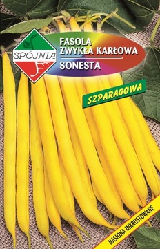 Fasola Sonesta 50g ŻÓŁTA BEZŁYKOWA SZPARAGOWA