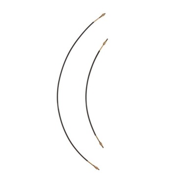 Tailgut String Tailgut для баса