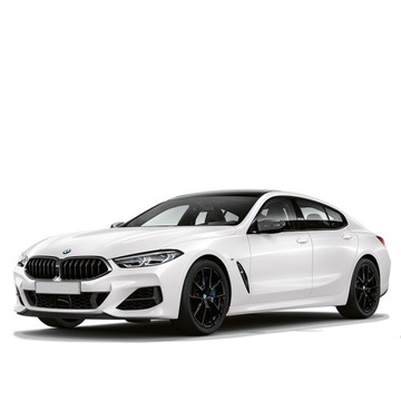 Километровый блокиратор BMW Series BMW 8 G14 G15 G16 F93