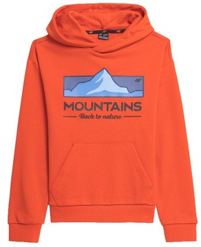 СВИТШОТ С КАПЮШОНОМ 4F ДЛЯ МАЛЬЧИКОВ AW23M634