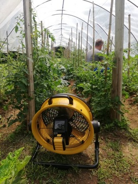 WENTYLATOR MASTER DFB 16