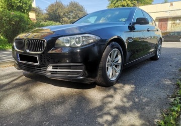 BMW Seria 5 F10-F11 Limuzyna Facelifting 518d 150KM 2016 BMW Seria 5 BMW 518 D Business Edition Automat..., zdjęcie 14