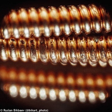 (RUS) Микроскоп Levenhuk Rainbow 50L PLUS