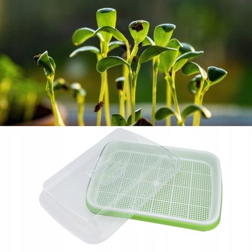 Проращиватель QC888 3111210450011