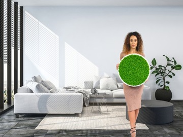 Moss of Chrobotek Finnish 500G Gross Gross Green Decorative Decorative Curatified