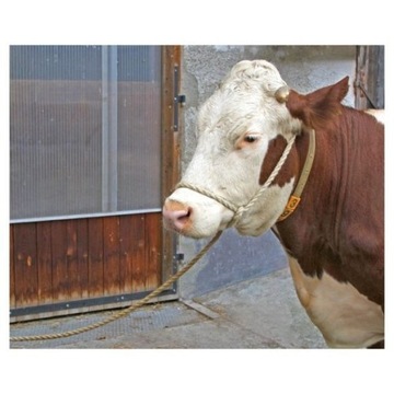 Трос для поводка для скота, 5 м 1628301650