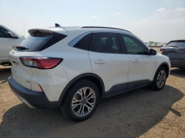 Ford Escape III 2020 Ford Escape Sel 2020 1.5l 1.5 Benzyna 181KM, zdjęcie 3