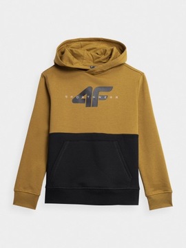 СПОРТИВНАЯ ТОЛСТОВКА С КАПЮШОНОМ ДЛЯ МАЛЬЧИКОВ 4F