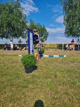 HorseMania - Мини-стена для хобби-лошадей, безопасное препятствие