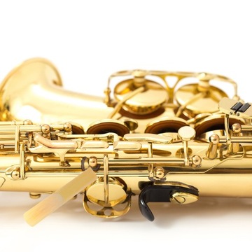 Запасные трости для кларнета бас-кларнета 10 шт.