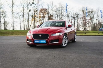 Jaguar XF II Sedan 2.0 i4D 180KM 2015 Jaguar XF 20d, Salon Polska, 177 KM, Automat, zdjęcie 1