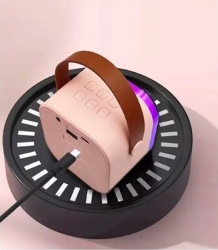 НАБОР ДЛЯ КАРАОКЕ С МИКРОФОНОМ С BLUETOOTH-ДИНАМИКОМ